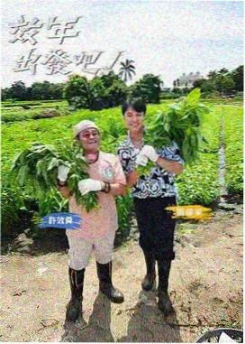 情感访谈综艺